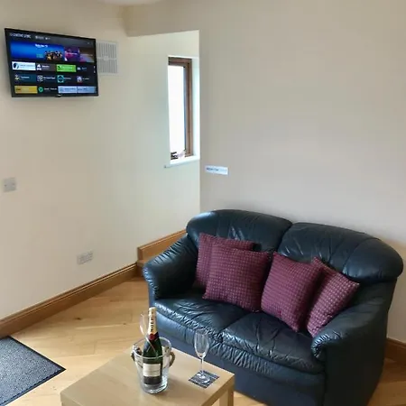Oak Trees Corner Stylish , Relaxing , Getaway Apartment Wicklow
