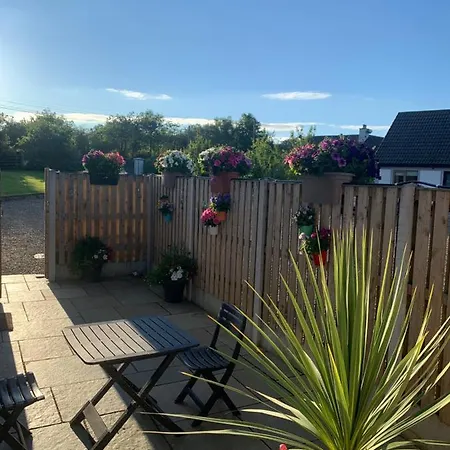 Oak Trees Corner Stylish , Relaxing , Getaway Apartment