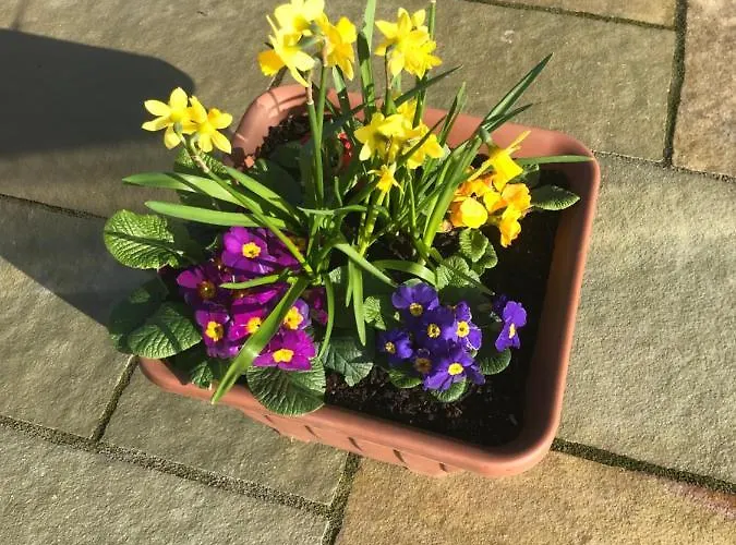 Oak Trees Corner Stylish , Relaxing , Getaway