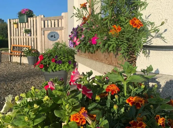 Oak Trees Corner Stylish , Relaxing , Getaway *